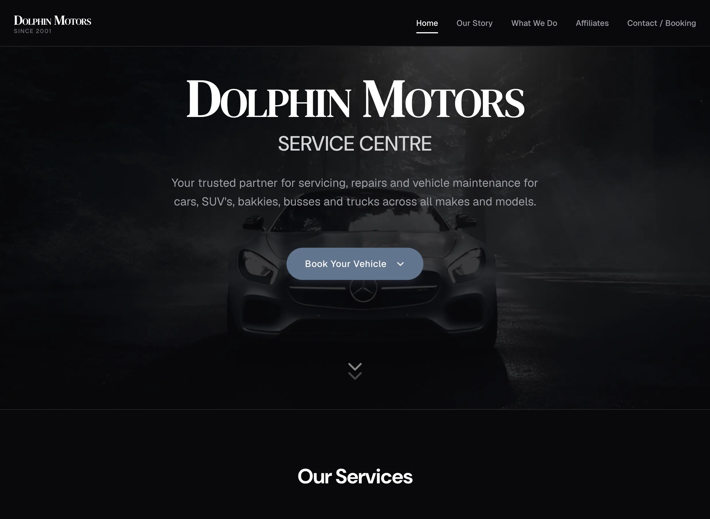 Dolphin Motors dealership website